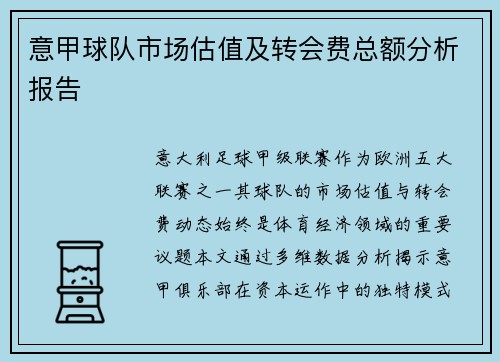意甲球队市场估值及转会费总额分析报告
