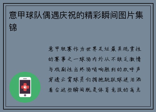 意甲球队偶遇庆祝的精彩瞬间图片集锦