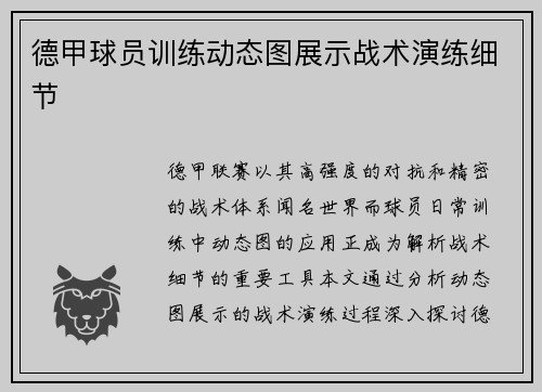 德甲球员训练动态图展示战术演练细节